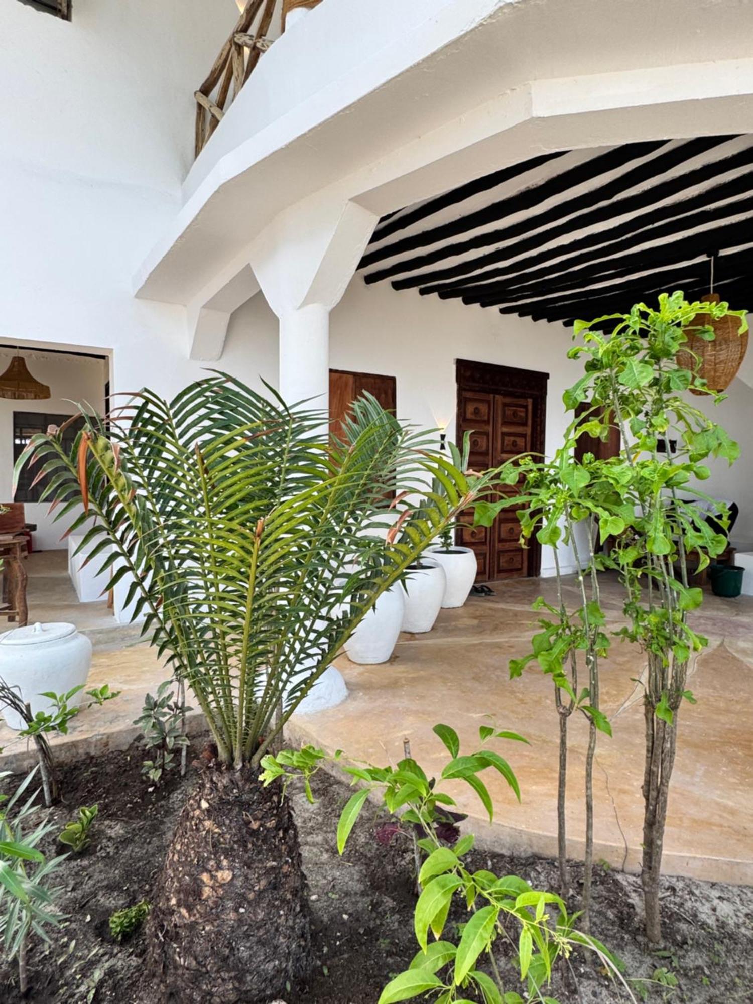 Mango Beach House จัมเบียนี ภายนอก รูปภาพ